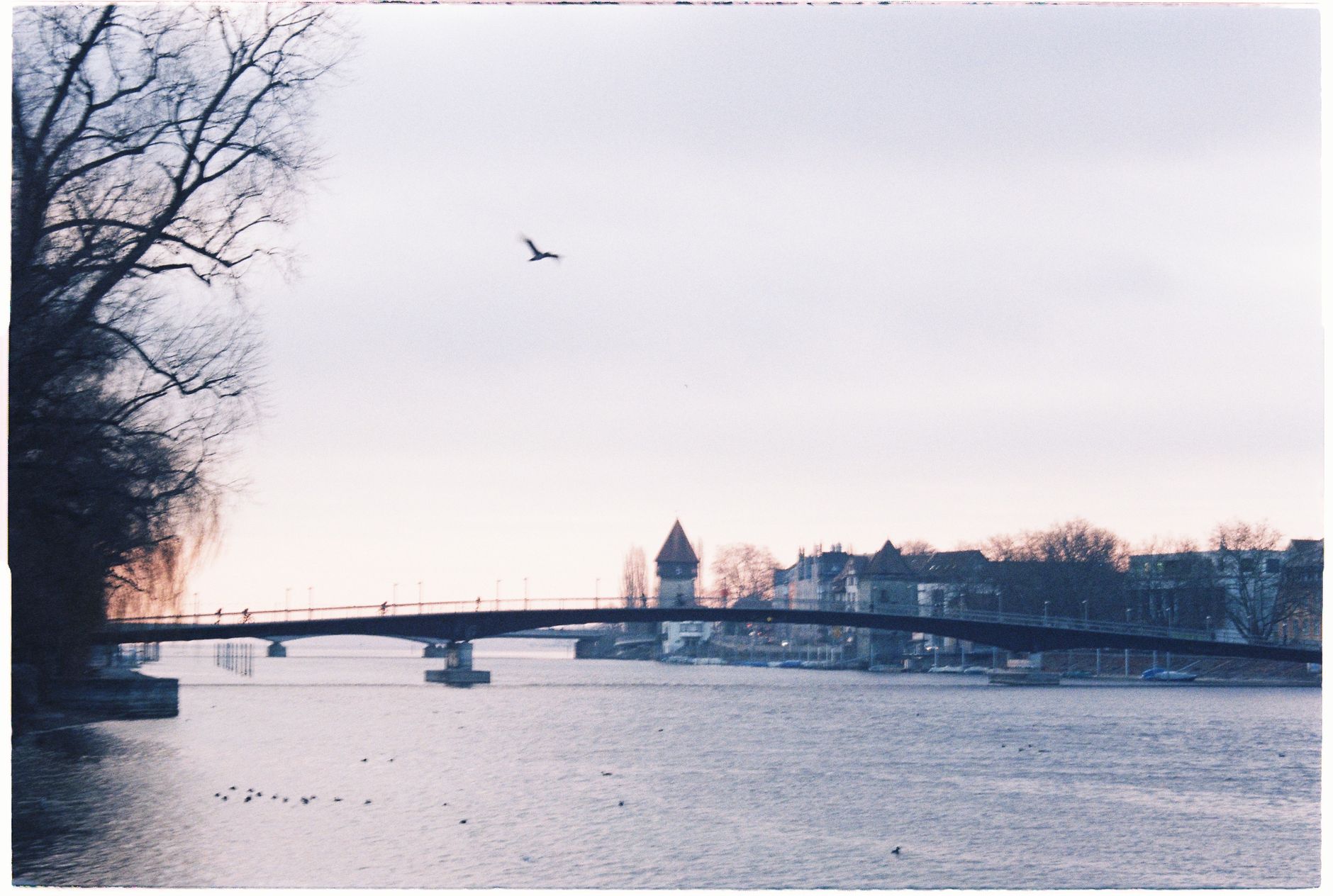 Caritas – Ansicht 2