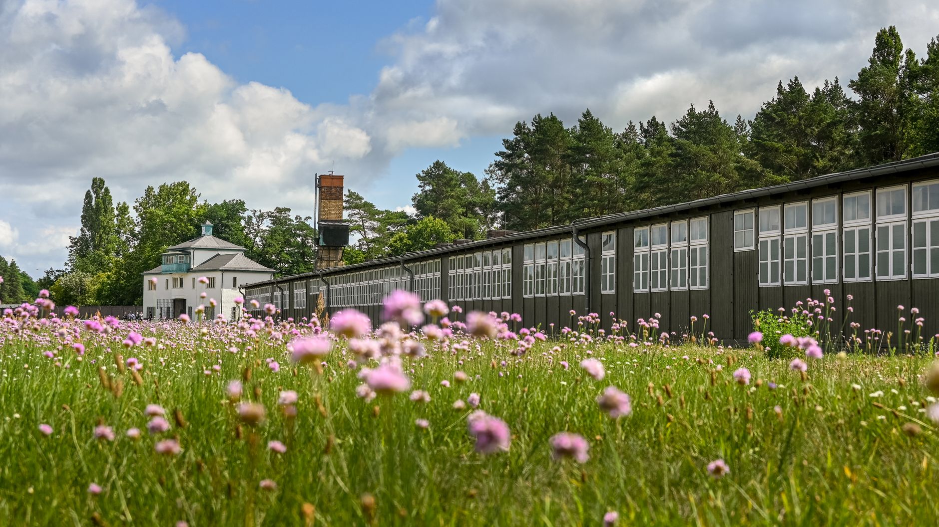 Heilpädagogik und Frühförderung in Heilpädagogische Angebote in Oranienburg vergleichen