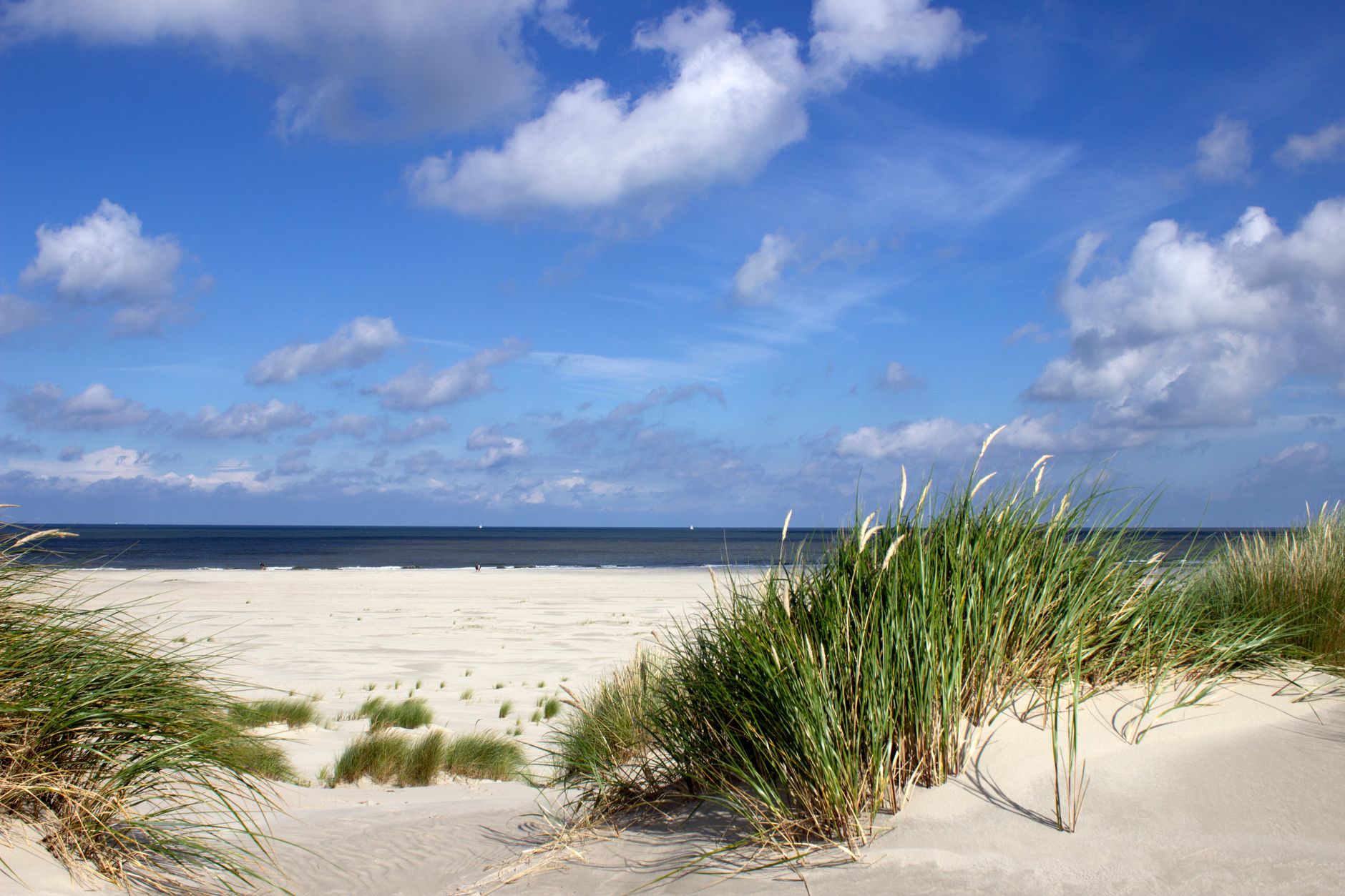 Heilpädagogik und Frühförderung in Wilhelmshaven: Kontakt und Standort
