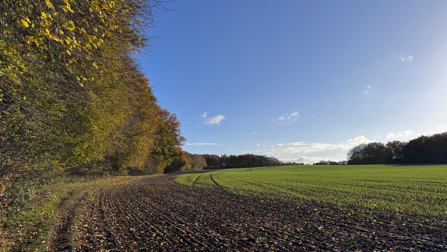 Heilpädagogik und Frühförderung in Minden: Anbieterprofile und Kontakt