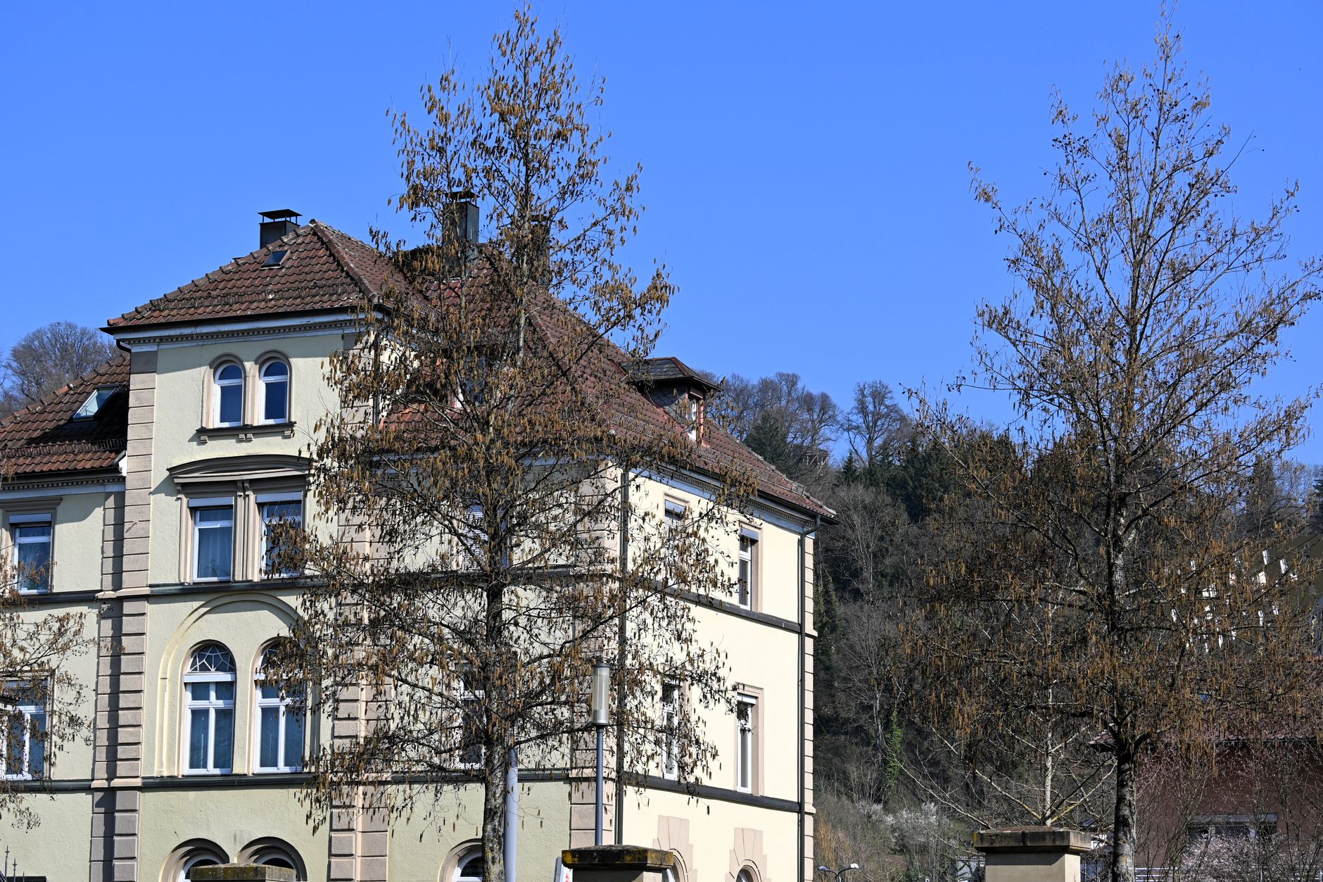 Heilpädagogik und Frühförderung in Frühförderstellen und Heilpädagogen in Böblingen finden