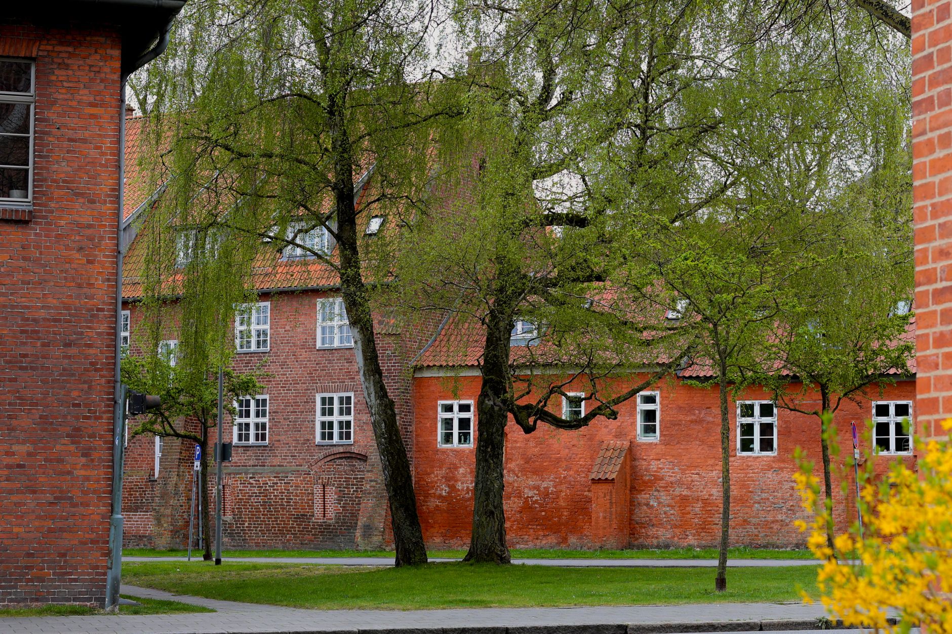 Heilpädagogik und Frühförderung in Heilpädagoge in Stralsund finden: lokale Anbieter im Überblick