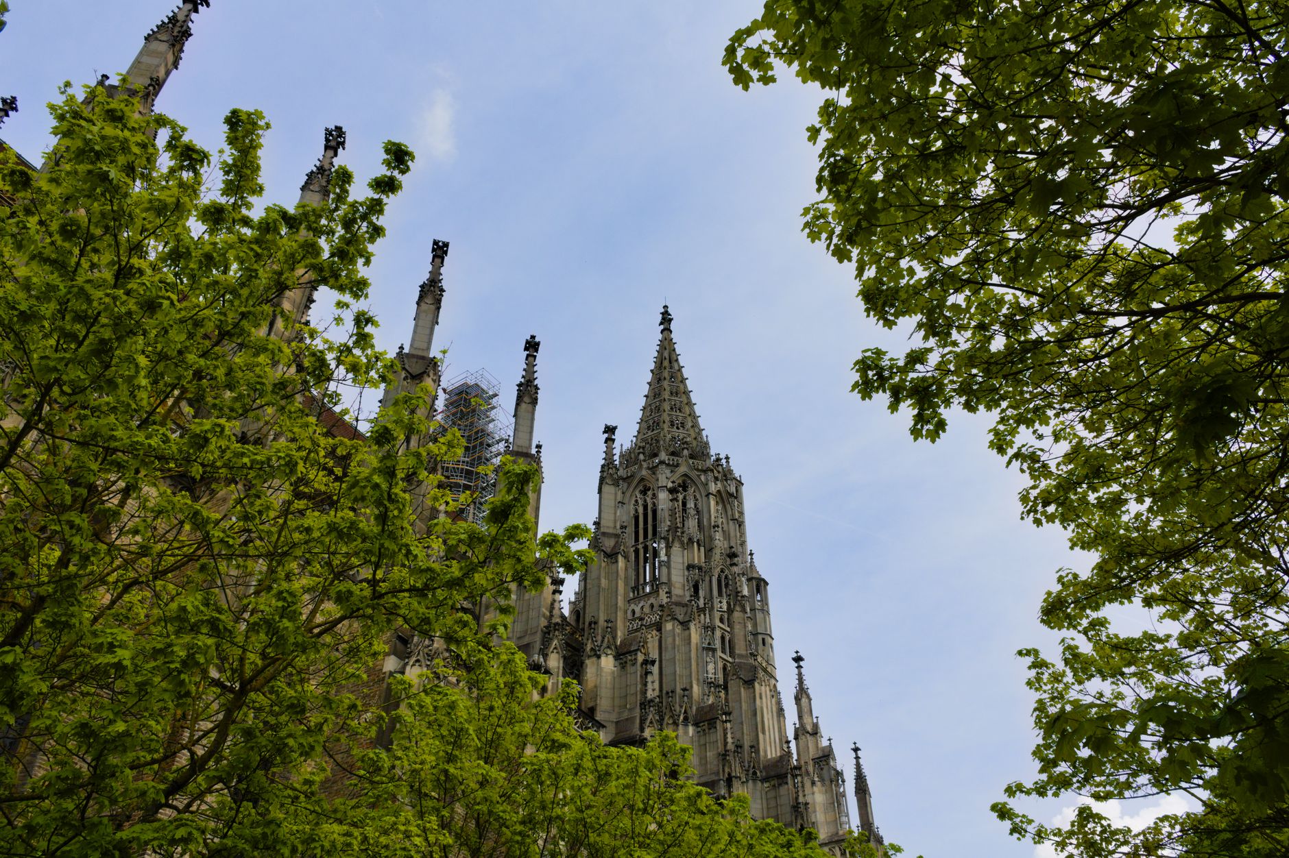Heilpädagogik und Frühförderung in Heilpädagogische Angebote in Ulm vergleichen